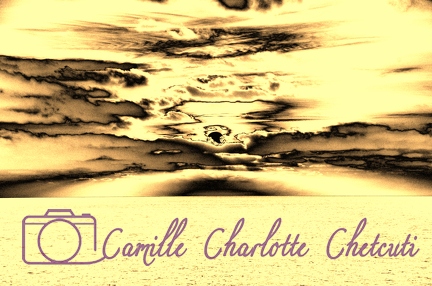 Création Camille Charlotte Chetcuti