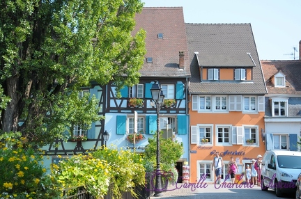 Colmar