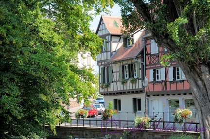 Colmar