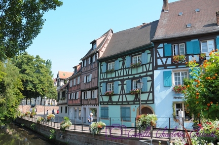 Colmar