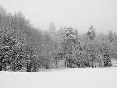 Noir et Blanc