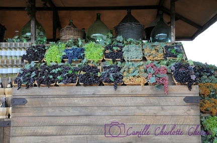 Expo Universelle Milan