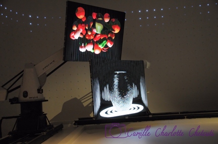 Expo Universelle Milan