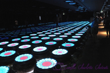 Expo Universelle Milan