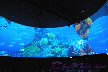 Expo Universelle Milan