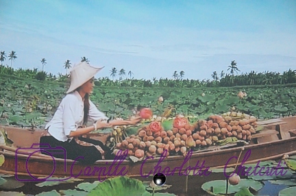 Expo Universelle Milan