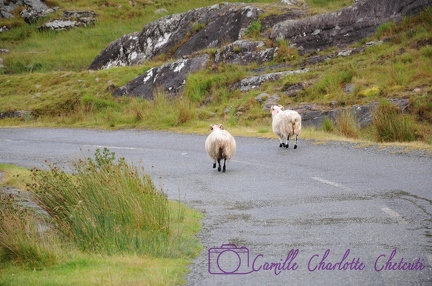 Irlande