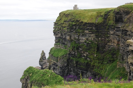 Irlande