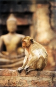 Thailande