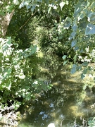 Jardins de Claude Monet