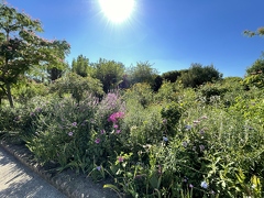 Jardins de Claude Monet