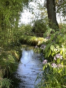 Jardins de Claude Monet