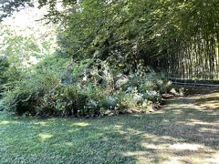 Jardins de Claude Monet