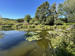 Jardins de Claude Monet