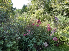 Jardins de Claude Monet