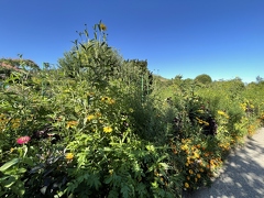 Jardins de Claude Monet