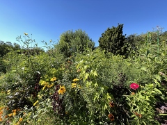 Jardins de Claude Monet