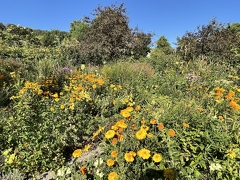 Jardins de Claude Monet