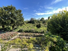 Jardins de Claude Monet